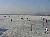 IMG_0245(001).jpg